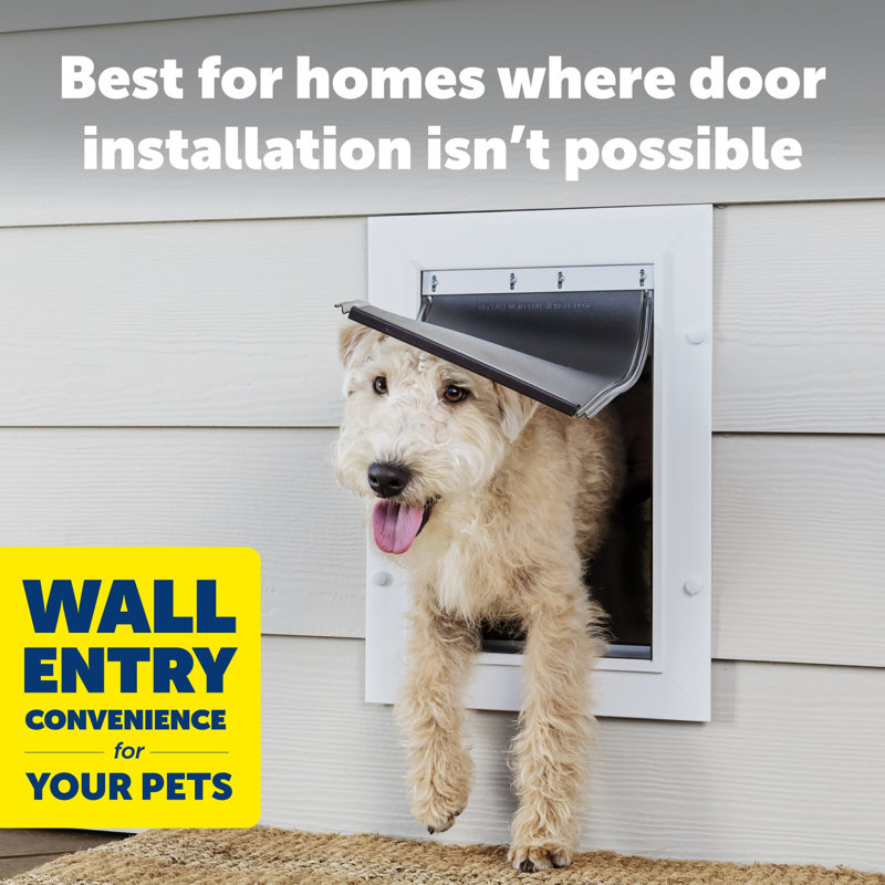 PetSafe Wall Entry Pet Door, Large, 21.16" H x 14.25' W x 7.25" D