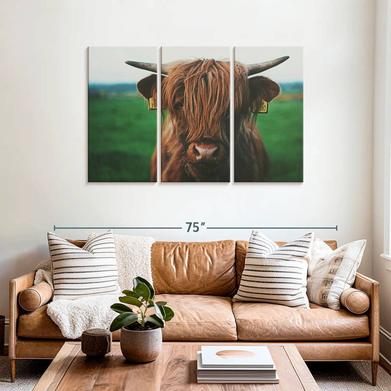 Gros plan d'une vache Highland, H 36 po x l 57 po
