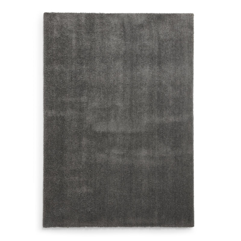 Asaldis area rug Machine Woven Rectangle Charcoal, Rectangle 120 x 170cm