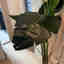 Customer photo 2 of 5