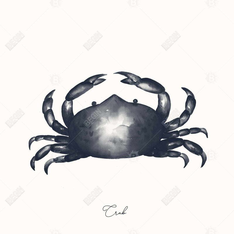 " Blue Crab "
