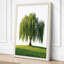 Weeping Willow Botanical - Wrapped Canvas-364799640-364799642