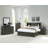 Covertt Solid Wood Bookcase Storage Bed-26241477-26241472