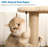 Dannisha 17.52'' H Cat Tree