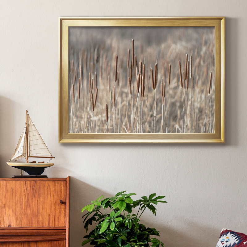 Summer Tails - Photographie avec cadre photo, Gold Framed Canvas, H 26,5 po x l 36,5 po x P 1,5 po