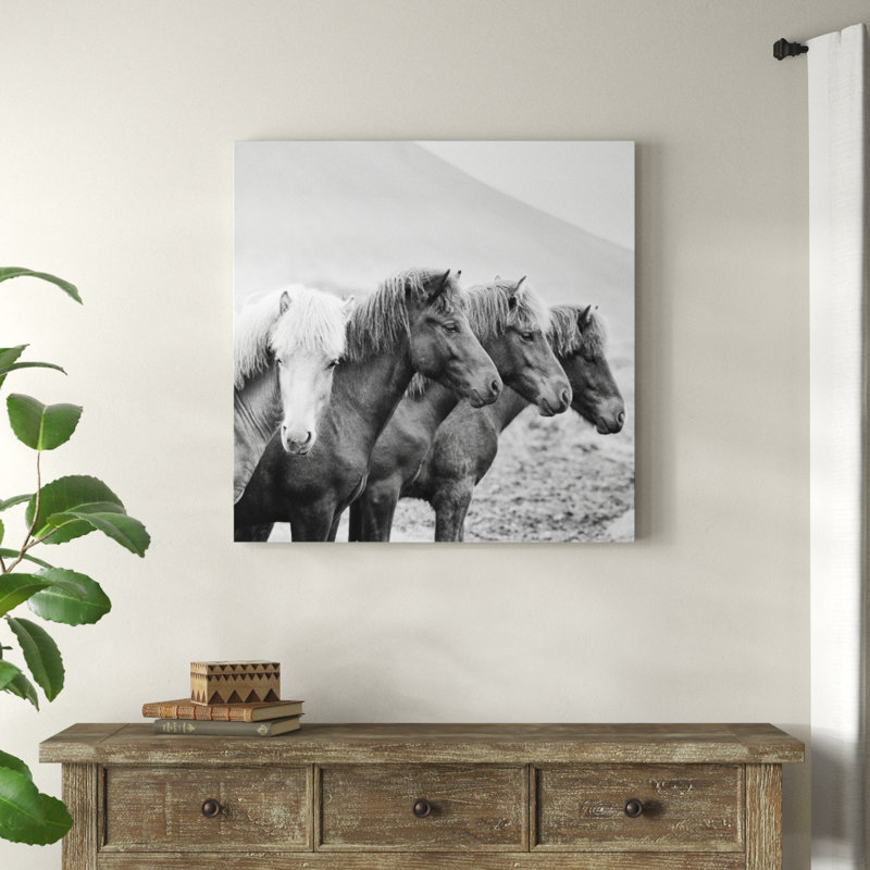 B And W Horses IX by PHBurchett - Wrapped Canvas Print, 91cm H x 91cm W