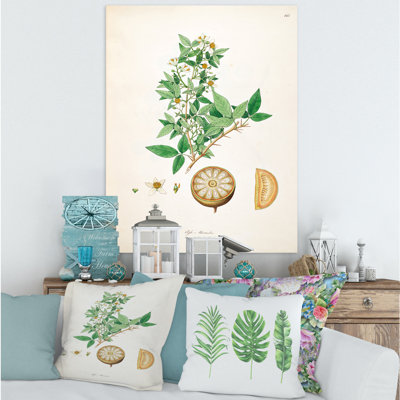 «Vintage Plant Life X», peinture sur toile