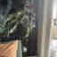 Photos des clients 2 de 3