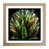 Oak selected