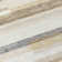  Chayden Area Rug with Non-Slip Backing