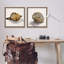  Neutral Beach Shells 2 PC Framed Floater Canvas Set by Jacob Q-829528879-829528873