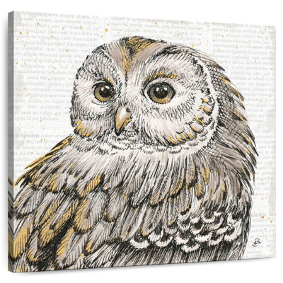 Brampt Beautiful Owls I