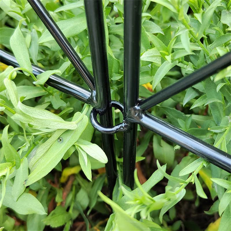 Charolette 61cm H x 61cm W Metal Fence Panels