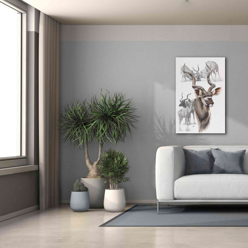 'Kudu' by Barbara Keith, Canvas Wall Art, 40" H x 26" W x 1.5" D
