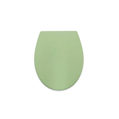 Oval Toilet Seat
