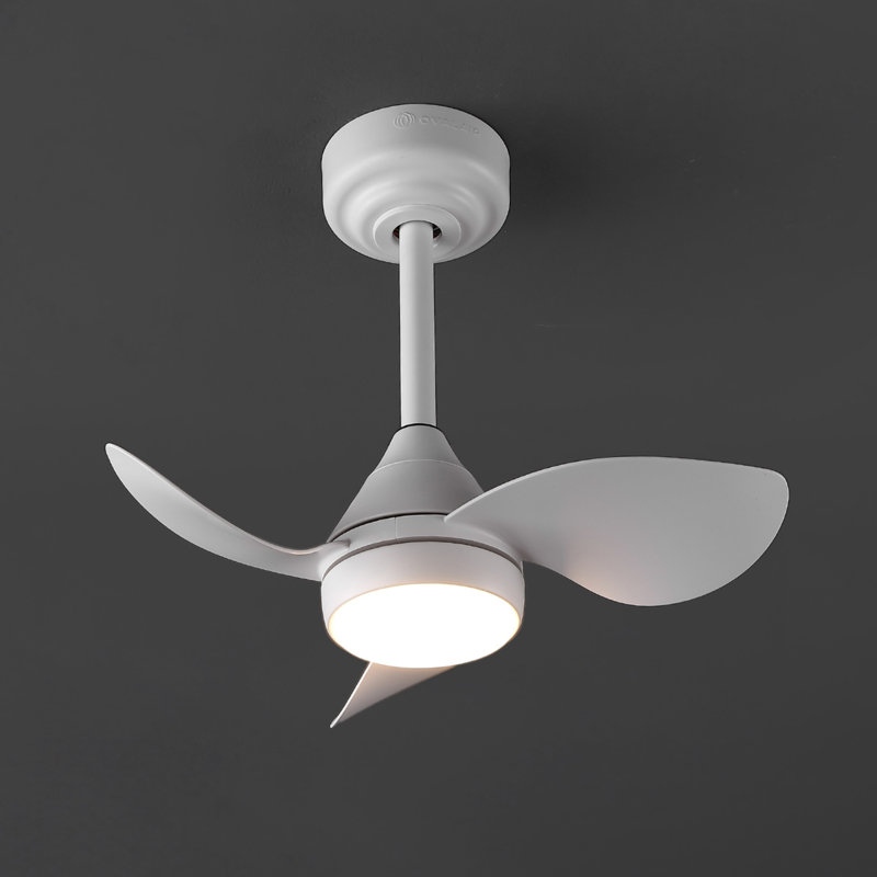Ventilateur de plafond à DEL à intensité variable 22 po Albini, Blanc givré, Blanc mat