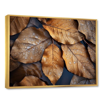 " Leaves Autumn Sunlight Harmony VI "