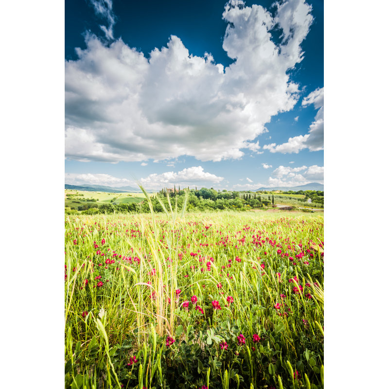 Beautiful Tuscany Landscape. Italy, Europe 1 Piece Wall Art on Canvas, 91cm H x 61cm W