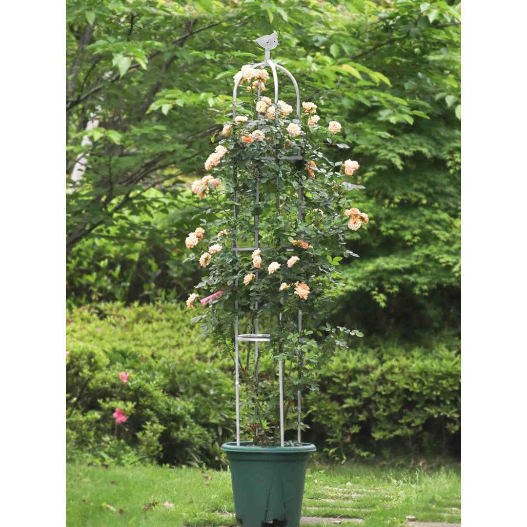 Danashia 180cm H x 30cm W Metal Obelisk Trellis
