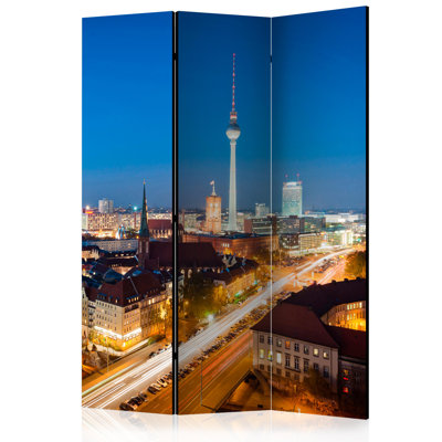 Mannheim 172cm H Solid Wood Folding Room Divider