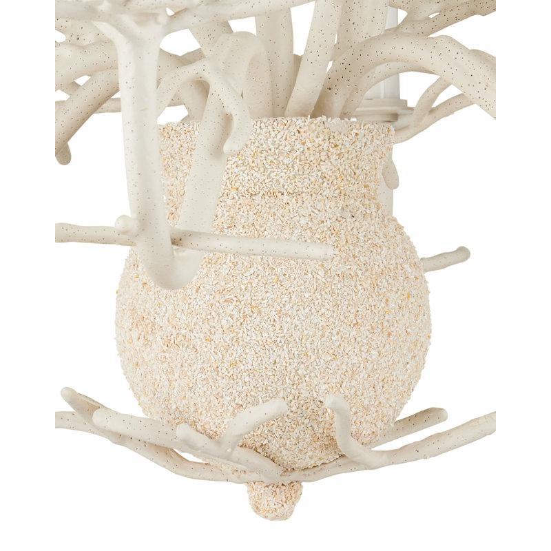 Seaward 6 - Light Chandelier