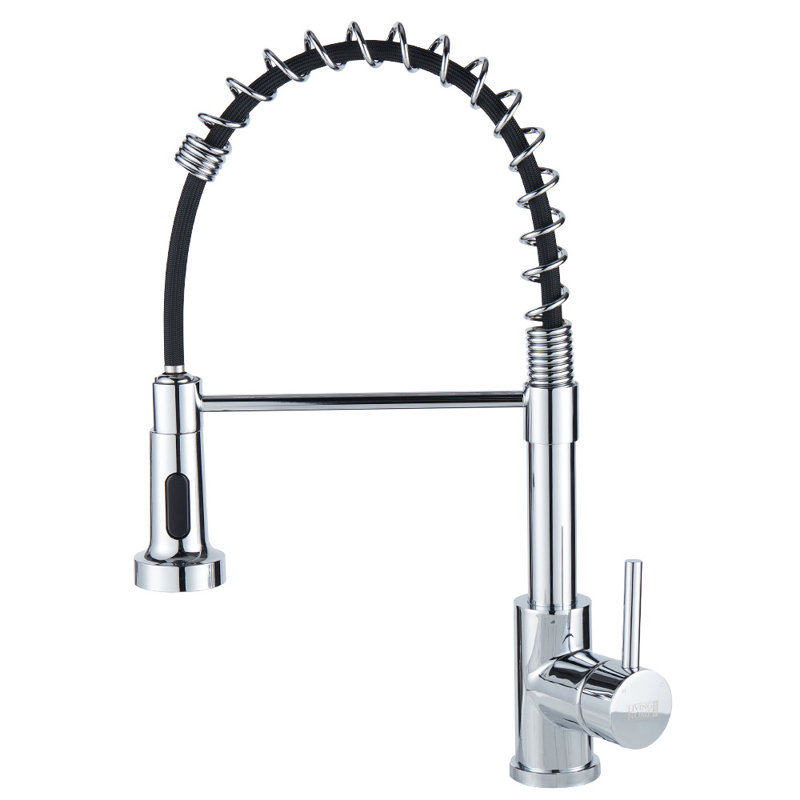 Belfry Kitchen Ailsa Kitchen Faucet, Silver
