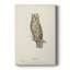 Scops Eared Owl - galerie sur mesure tendue Cavas-2143540975