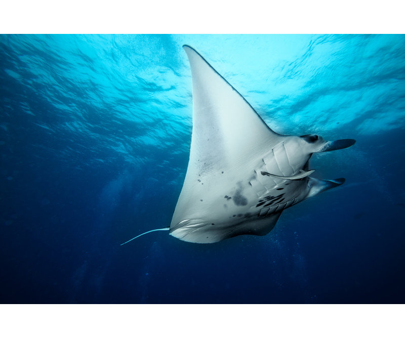 Wrapped Canvas Print, 60.96 cm H x 91.44 cm W