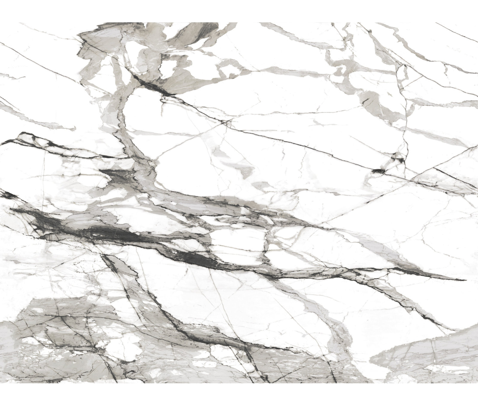 Veola Wall Mural, Black/White