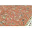 Wool Oriental Indoor Rug