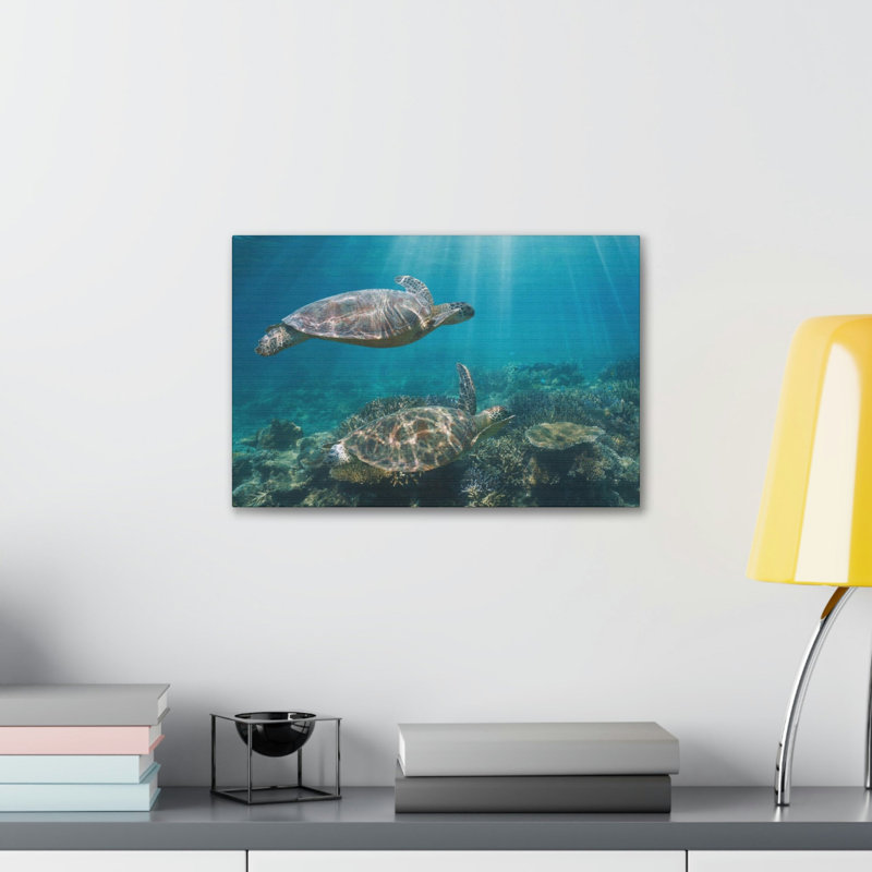 No Frame Print on Canvas, 27.94cm H x 35.56cm W