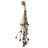 9 Piece Cluster Twig Triple Spring   Set of 12   20"   Natural
