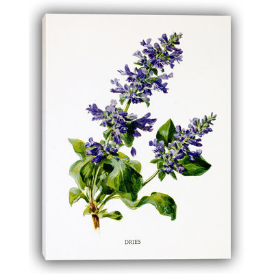 Aquarelle, art floral sur toile
