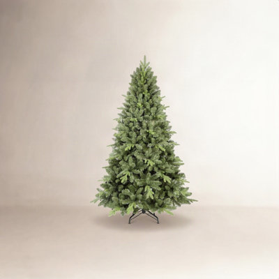 Spruce Christmas Tree