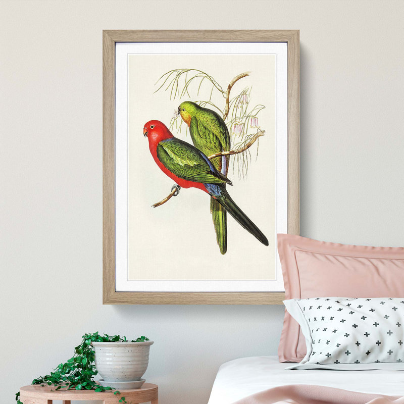 King Lory Parrot by Elizabeth Gould - Picture Frame Graphic Art Print, 65cm H x 48cm W x 2cm D, Oak Framed