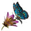 Piquet de jardin 45 po papillon et fleur en métal avec peinture résistante aux intempéries et piquet de sol robuste-92580498