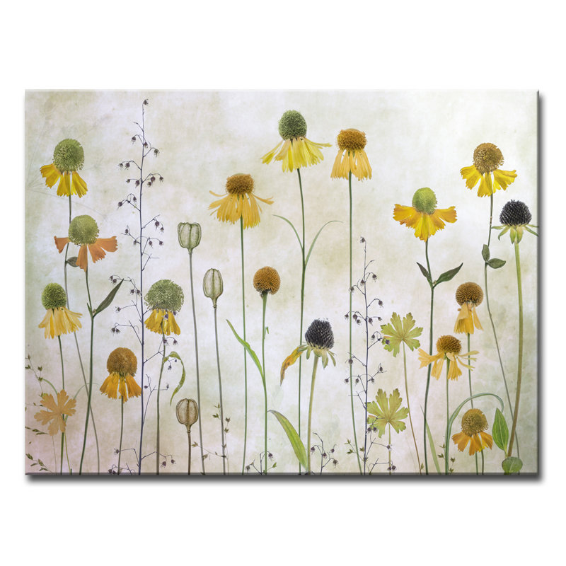 " Helenium ", 30" H x 40" W x 1.5" D