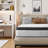10 Inch Queen Hybrid Mattress in a Box, Individually Wrapped Pocket Coils with Memory Foam, Medium Firm for Pressure Relief, Breathable Bamboo Cover, CertiPUR-US & OEKO-TEX Certified-2096724876-2096724875
