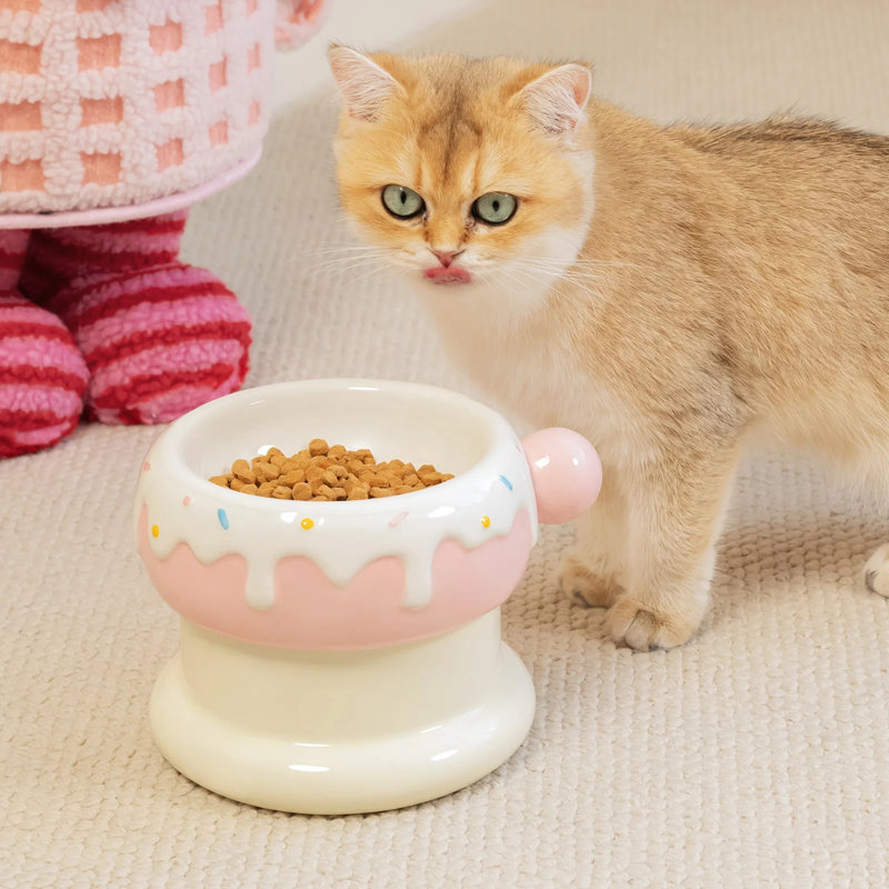 Double bol à chat 27 oz, mignon plat pour animaux de compagnie, antidérapant, lavable au lave-vaisselle