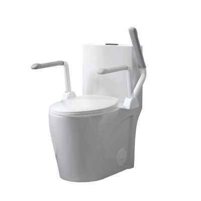 One Piece Chair Height Toilet With Armrests, Dual Flush 1.1/1.6 Gpf, Siphonic Flush, S-Trap 12 Inch, Soft Close Seat, Glossy White