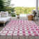 Malek Indoor/Outdoor Area Rug with Non-Slip Backing