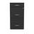 Maegan 3 Drawer Letter Width Vertical Home and Small Office Premiere File Cabinet with Pencil Drawer-1919072045
