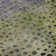 Premium Machine Washable Christina AMF1074 Circles Rug