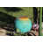 Vert turquoise n'est pas disponible