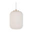 Aaronsburg 1 - Light Single Pendant