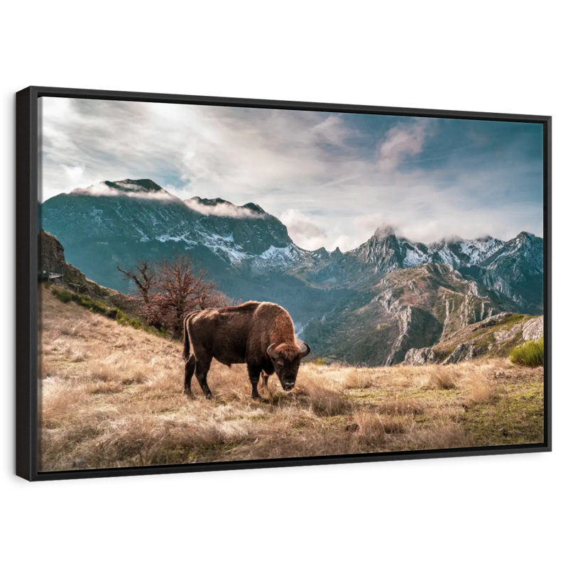 Paysage de montagne de bisons, 25 po x 17 po, Cadre flottant noir