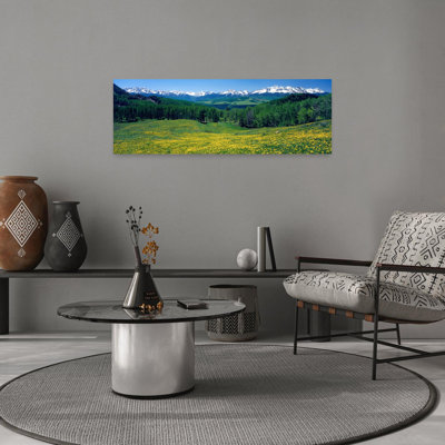 «San San Mountains», art floral abstrait contemporain, forêt, Colorado