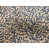Ivory Reef Sunbrella est en rupture de stock