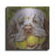 «Clumber Spaniel 2» par Barbara Keith-872275805