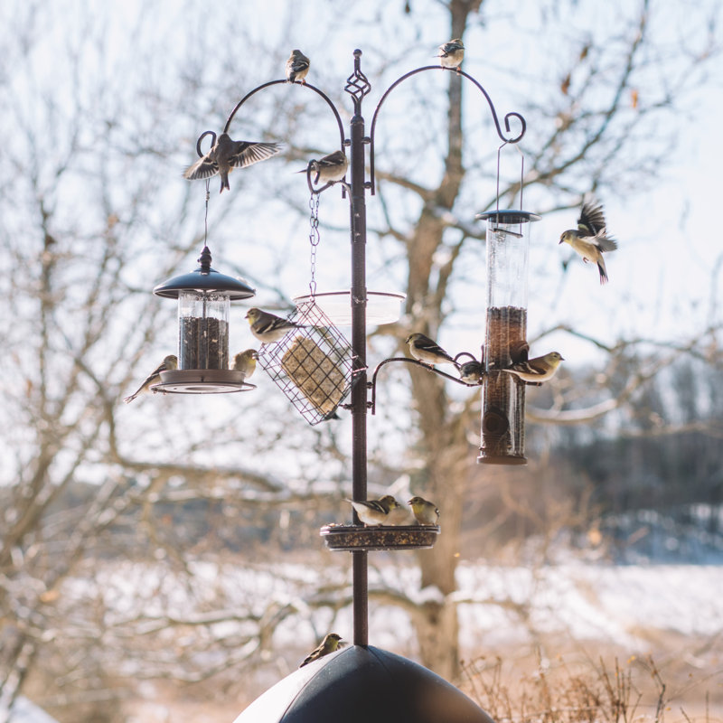 Premium Bird Feeding Station 